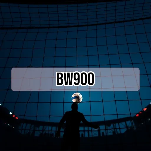 bw900.com Estratégia
