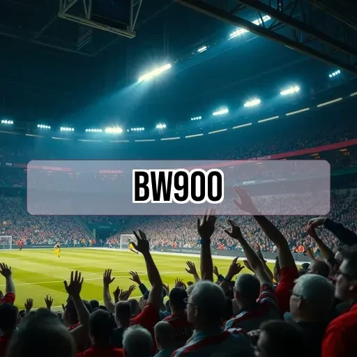 bw900.com Termos e Condições